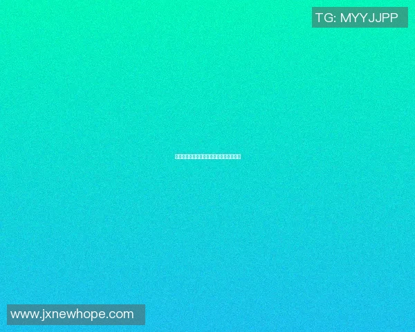 足球明星归乡之旅重温故土情怀与家乡荣耀